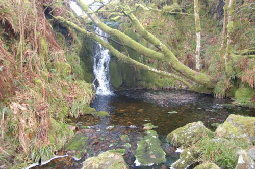Dartmoor National Park