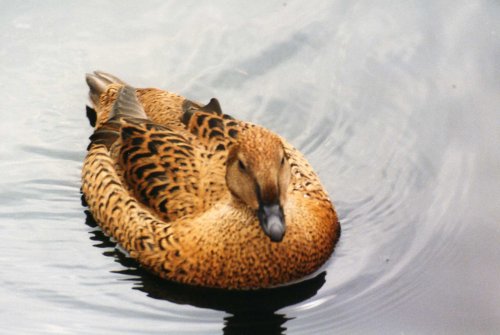 Washington Wetlands Centre