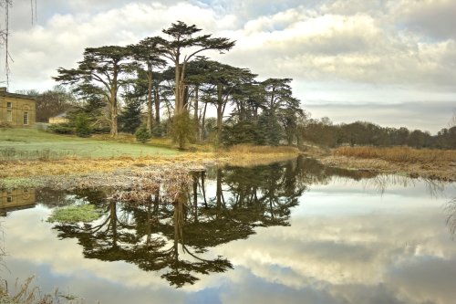 Reflections - Attingham Park, Shrewsbury