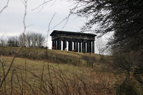 A view from Penshaw Woods