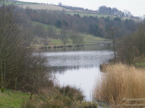Strinesdale Countryside Area, Oldham