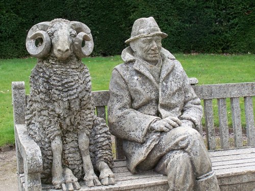 One Man and his Sheep