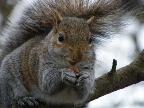 She only pays peanuts