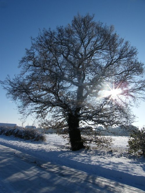 Let there be sunlight