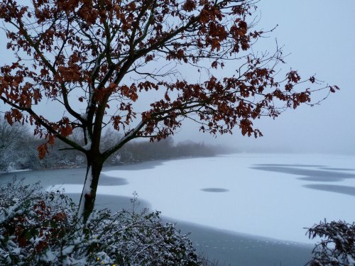 The Frozen Lake
