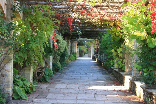 Rose Covered Pergola at Hever Castle