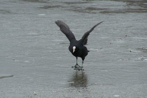 Rufford Country Park