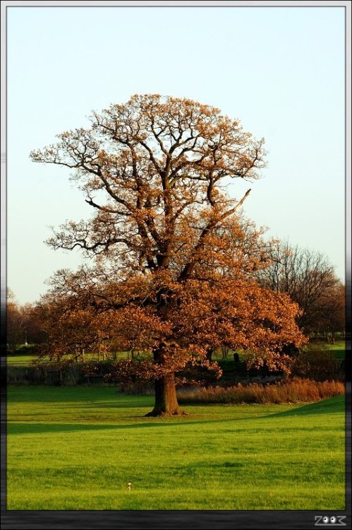 Delapre Park Golf Club