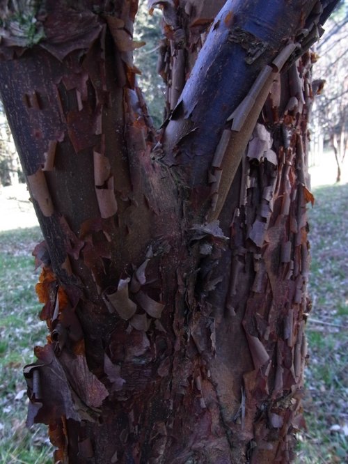Queenswood Country Park
