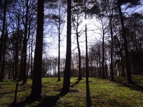 Queenswood Country Park (NT)
