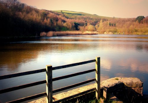 Strinesdale Countryside Area, Oldham