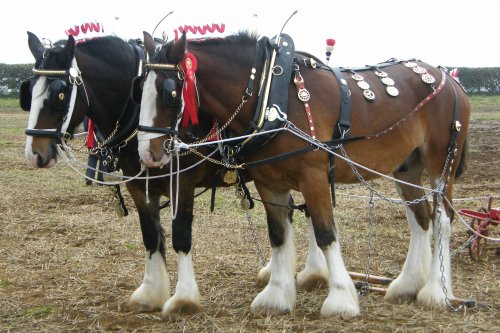 Better than any Tractor!