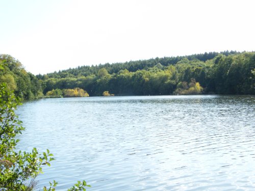 Newmillerdam
