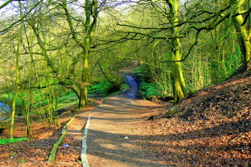 Daisy Nook Country Park