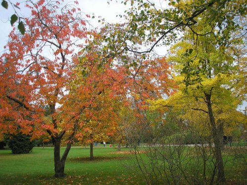 Hampton Court Palace & Gardens