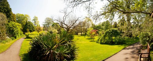 Bath Botanical Gardens, Somerset