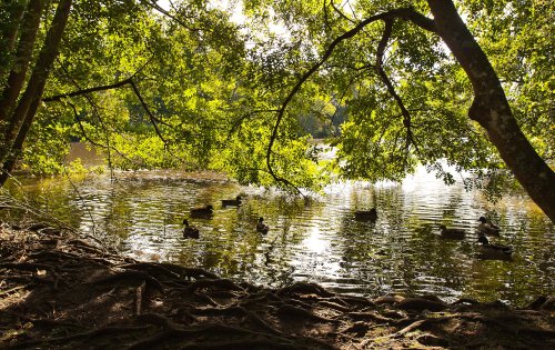 Eastbourne, Hampden Park