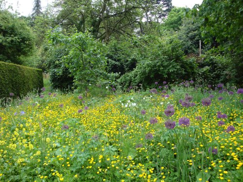 Kiftsgate Court Garden