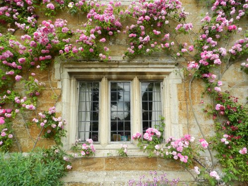 Coton Manor Wildlife Garden