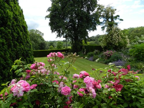Coton Manor Wildlife Garden