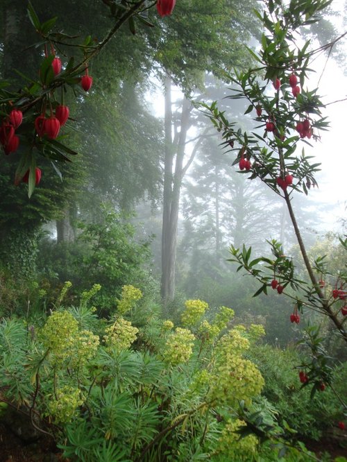 Overbeck's Museum & Garden