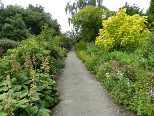 Borde Hill Garden