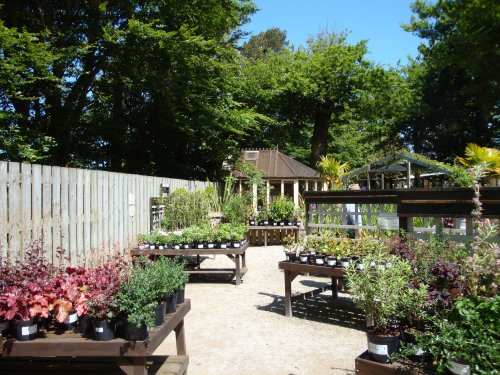 Lost Gardens of Heligan