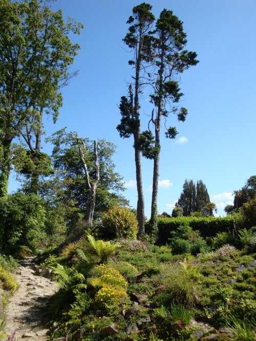 Lost Gardens of Heligan