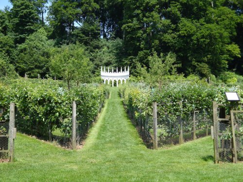 Painswick Rococo Gardens