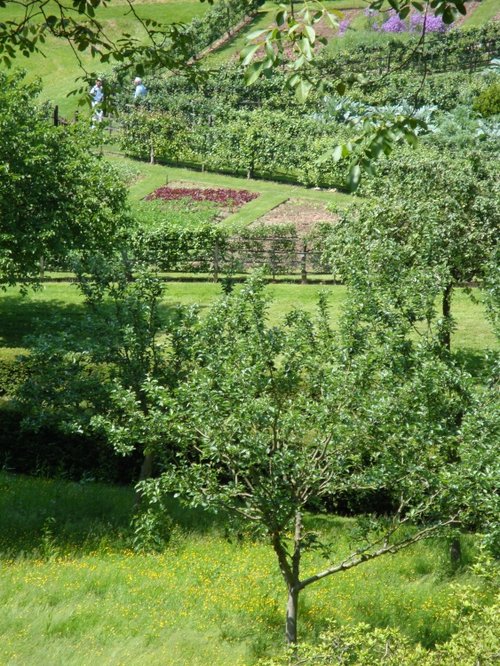 Painswick Rococo Garden June 2008