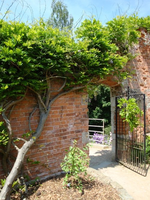 Painswick Rococo Gardens