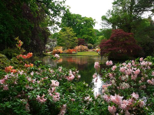 Exbury Gardens