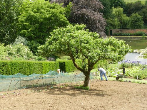 Upton House & Gardens