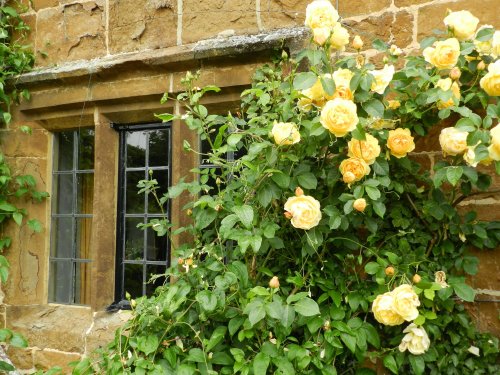 Brook Cottage Gardens, Alkerton