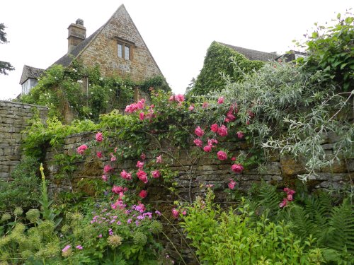 Brook Cottage Gardens, Alkerton
