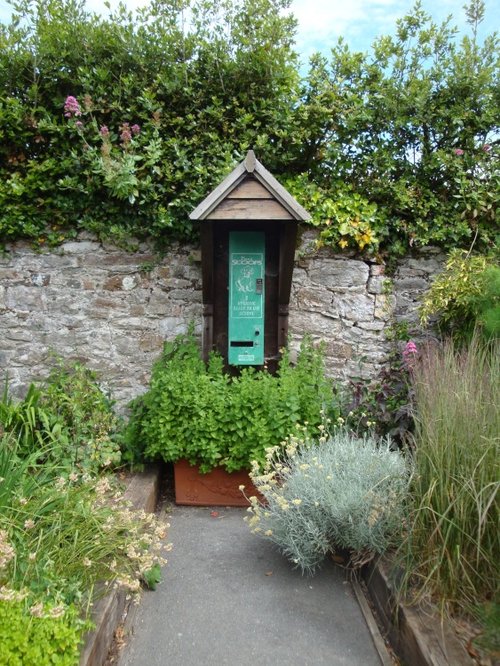 Mount Edgcumbe Country Park