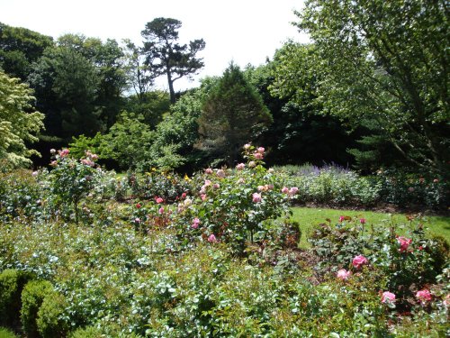 Trewithen Gardens