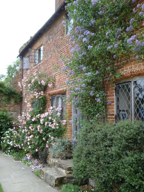 Sissinghurst June 2008