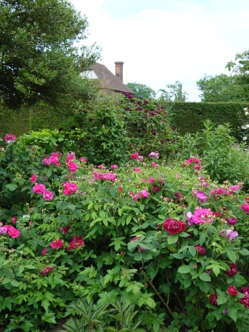 Sissinghurst June 2008