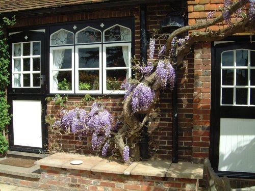 Marle Place Gardens May 2001