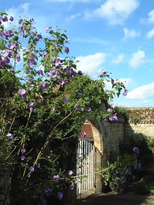 Penshurst Place and Gardens