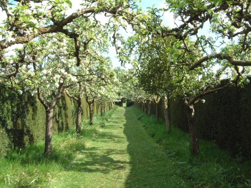 Penshurst Place and Gardens