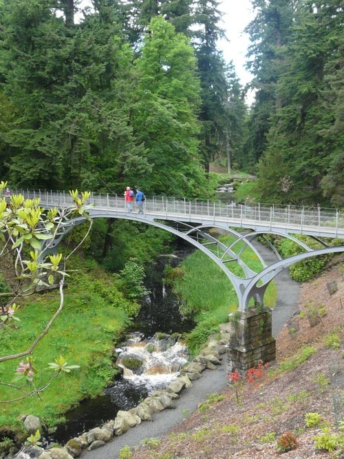 Cragside House,the Bridge below the Rockery.