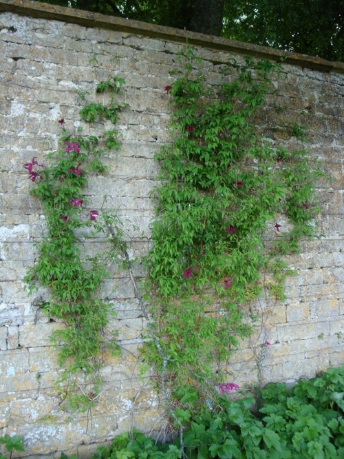 Mapperton House & Gardens