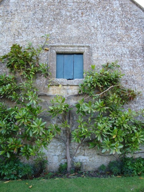 Mapperton House & Gardens