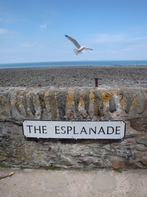 Lynton and Lynmouth, June 2009