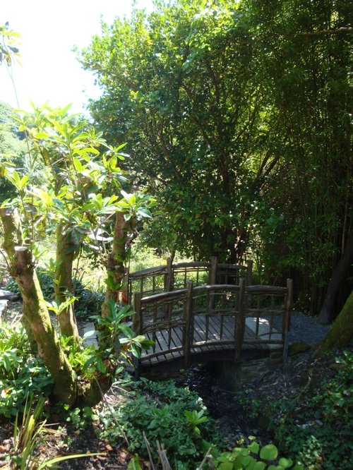 Coleton Fishacre Garden