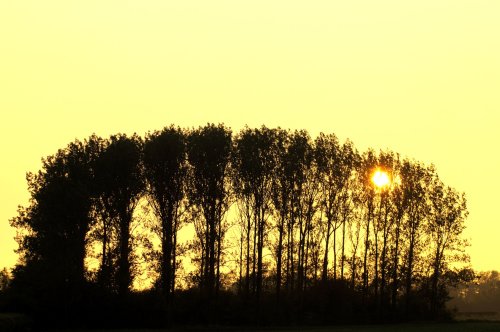 Setting sun, Bernwood area, Botolph Claydon, Buckinghamshire