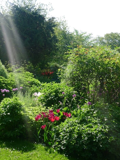 Constable Burton Hall Gardens