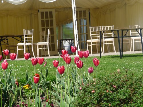 Constable Burton Hall Gardens